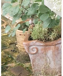 GU | サロペット/オーバーオール