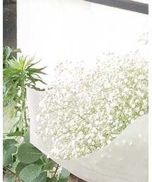 かすみ草花束 | その他