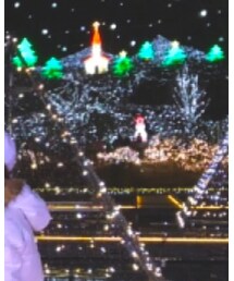 LOUIS VUITTON | マフラー