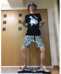 シン・ゴジラver. | その他