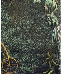 MADNESS | その他パンツ