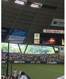 西武ドーム⚾️ | 雑貨/ホビー