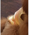 idogicatの「トップス(キャミソール)」