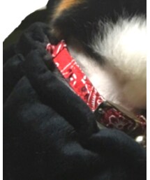 KOMERI | ネックレス