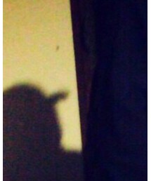 THE NORTH FACE | キャップ