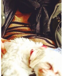 無印良品 | ニット/セーター