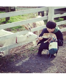 adidas | スニーカー