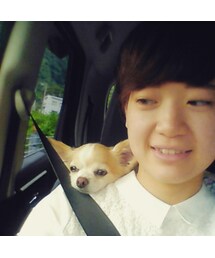 せ | かたのりももち。
(その他)