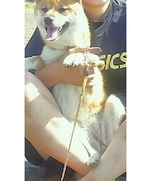 ASICS | トップス