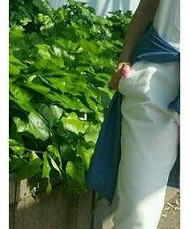 しまむら | サロペット/オーバーオール