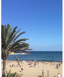 バルセロナの海と空は青かった | その他