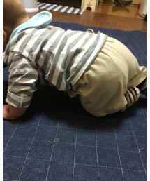 ハイハイって言うより… | その他