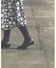 靴下屋 | タイツ/ストッキング