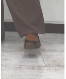 靴下屋 | ソックス/靴下