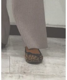 靴下屋 | ソックス/靴下