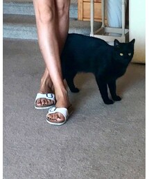 BIRKENSTOCK | サンダル