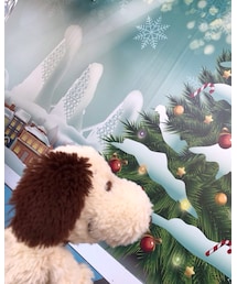 💚 | その他雑貨