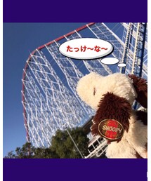 💛 | その他雑貨