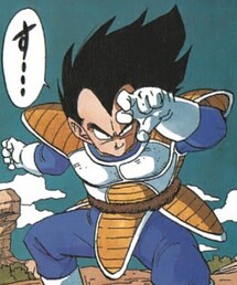 腰巻き | その他