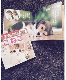お気に入り❤︎❤︎ | 本