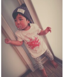 マエ。 | その他