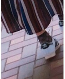 靴下屋 | ソックス/靴下