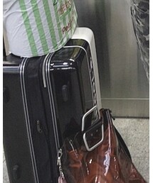 KANGOL | スーツケース/キャリーバッグ