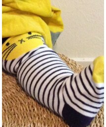 next | タイツ/ストッキング