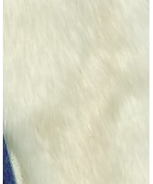 ZARA | その他アウター