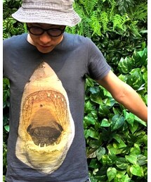 ZARA | Tシャツ/カットソー