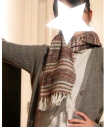 Discoat Petit | マフラー