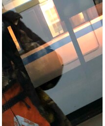 Supreme  | マウンテンパーカー