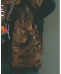 Supreme  | マウンテンパーカー