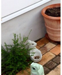 HusHusH | ニット/セーター