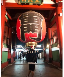 Champion | Tシャツ/カットソー