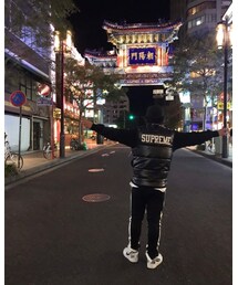 Supreme  | ダウンベスト
