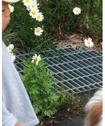 楽天 | Tシャツ/カットソー