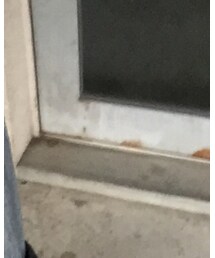 Paul Smith | シャツ/ブラウス