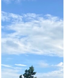 RETRO GIRL | トップス