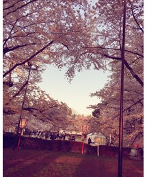 ハートに見える場所 | その他