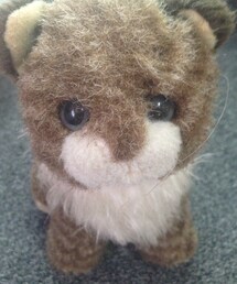 6歳からの夜のパートナー(その他)