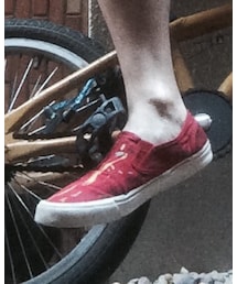 お気に入りの知人からのプレゼント👟 | スニーカー