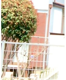 INGNI | デニムジャケット