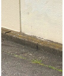 South2 West8 | パンツ