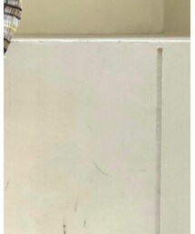 Needles | ブルゾン