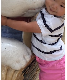 POLO RALPH LAUREN | Tシャツ/カットソー