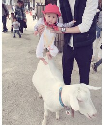 ヤギは怖かったみたい😂 | その他