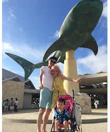 美ら海水族館❤️ | その他