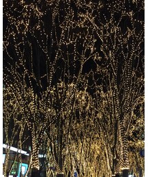 その他 | その他
