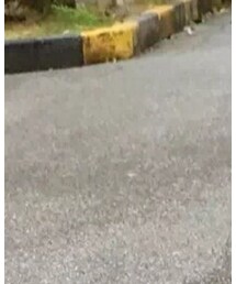 Shanghai | その他